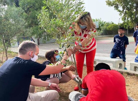 Η Ζέττα Μακρή σε Δράσεις δεντροφύτευσης και καθαρισμού παραλίας με το δημ. σχ. Χαλκουτσίου Ωρωπού