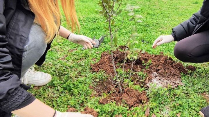 Αλεξανδρούπολη: Δενδροφύτευση από μαθητές στο πάρκο Αλτιναλμάζη