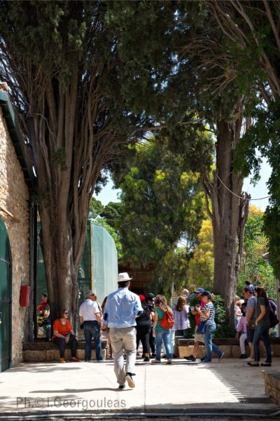 Επίσκεψη στον Πύργο Βασιλίσσης στο πάρκο Αντώνης Τρίτσης– Ξεναγήσεις