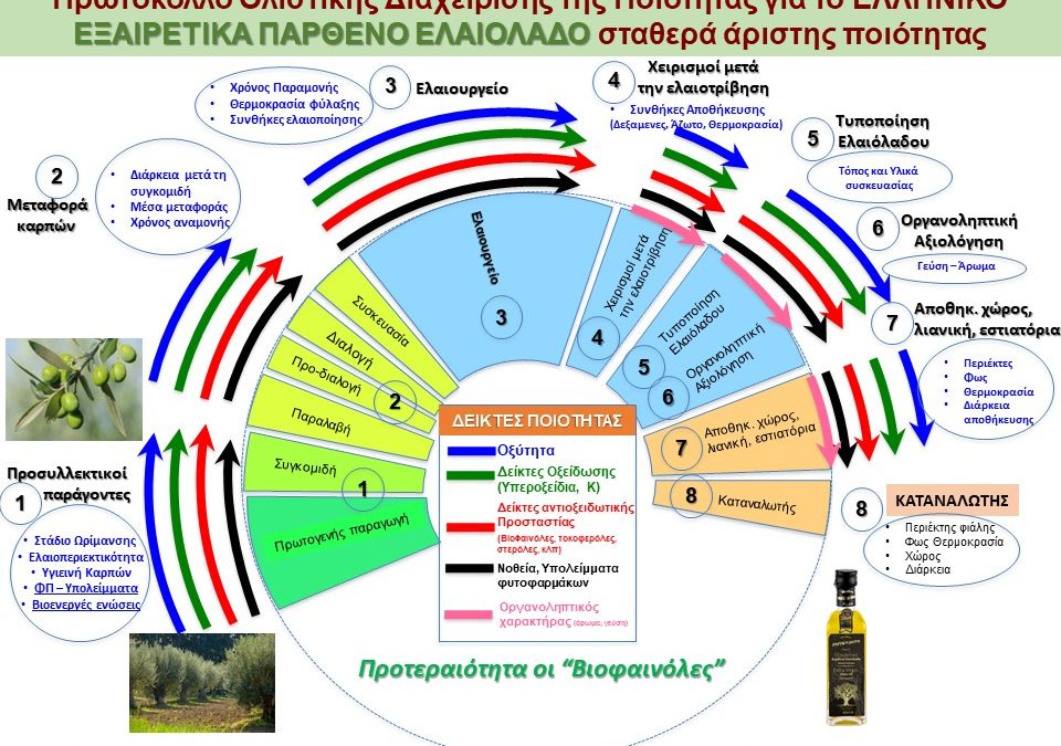 Δημιουργία Συνεργατικού Σχηματισμού Καινοτομίας / CLUSTER για το Ποιοτικό Ελληνικό Ελαιόλαδο (AIM-HQ OIL) από το ΕΛΠΕΠΑ