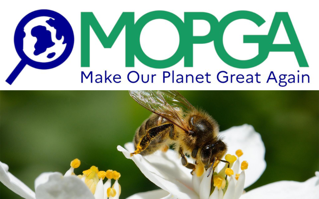 Make Our Planet Great Again (MOPGA): πρόσκληση υποβολής αιτήσεων
